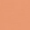 terracotta-color-swatch